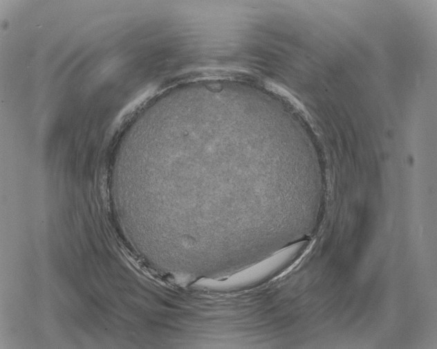 X0000078291403200611251431