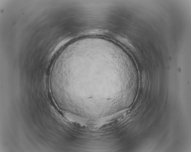 X0000078291404200611251431