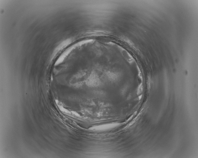 X0000078291405200611251431