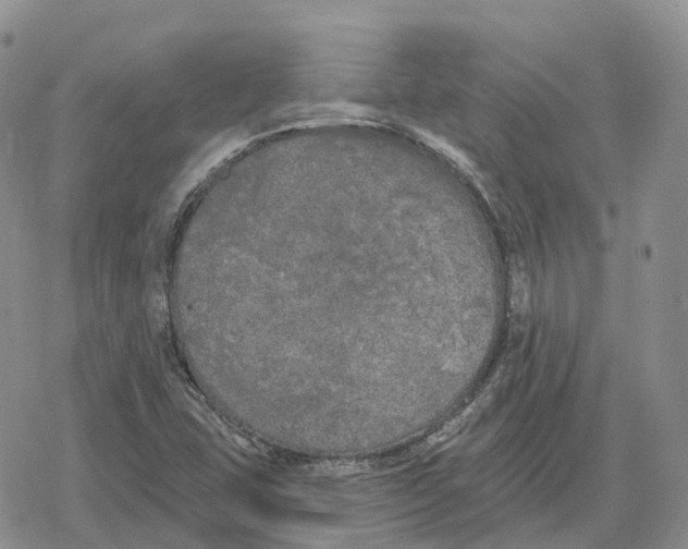 X0000078291407200611251431