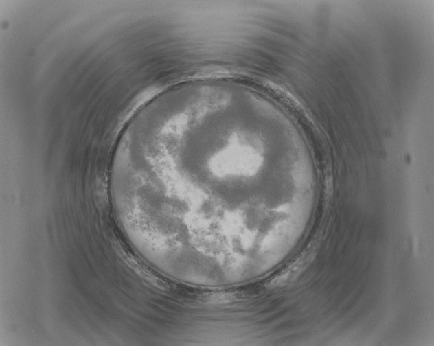 X0000078291409200611251432