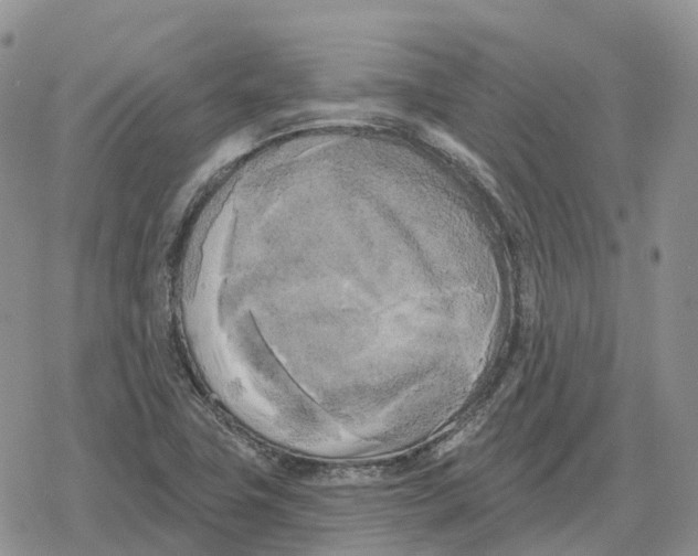 X0000078291411200611251432