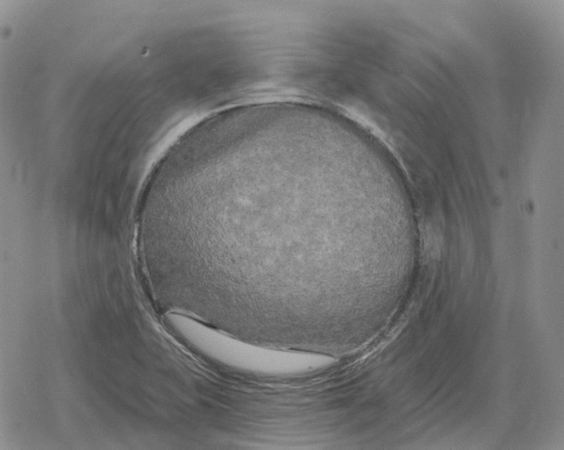 X0000078291415200611251432