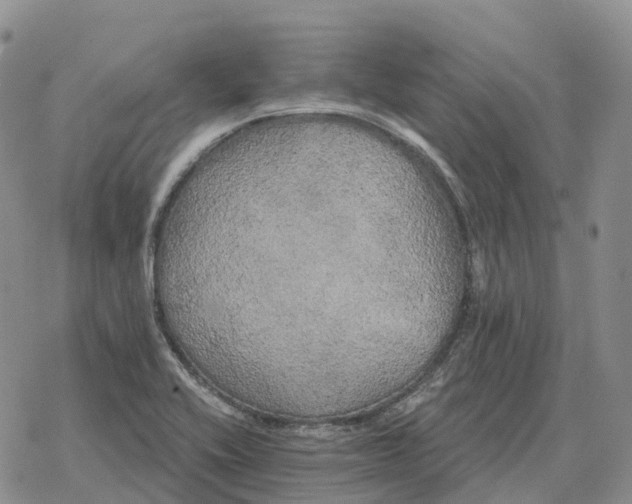 X0000078291416200611251432