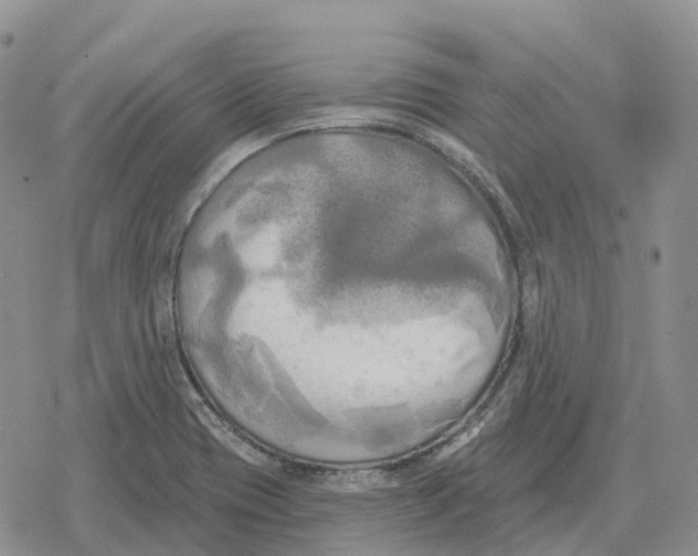 X0000078291417200611251432