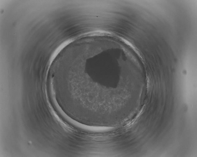 X0000078291418200611251432