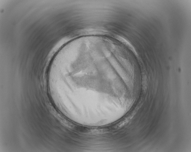 X0000078291419200611251432