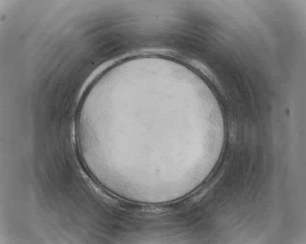 X0000078291420200611251432