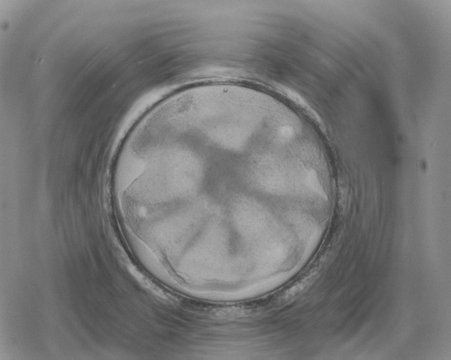 X0000078291421200611251432