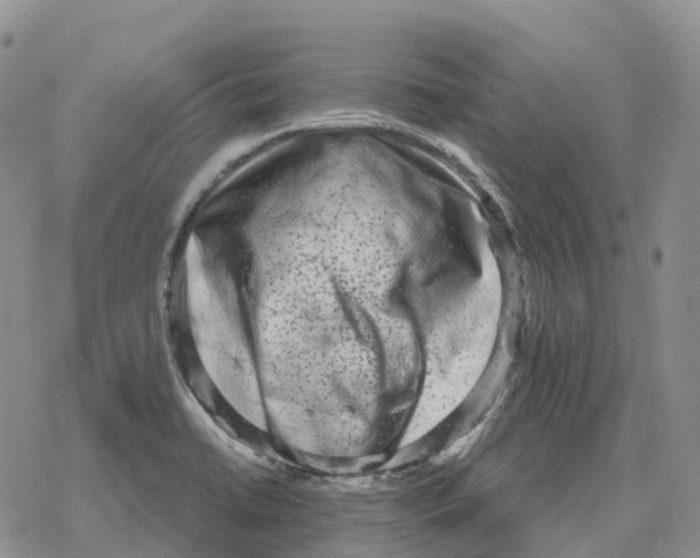 X0000078291422200611251432