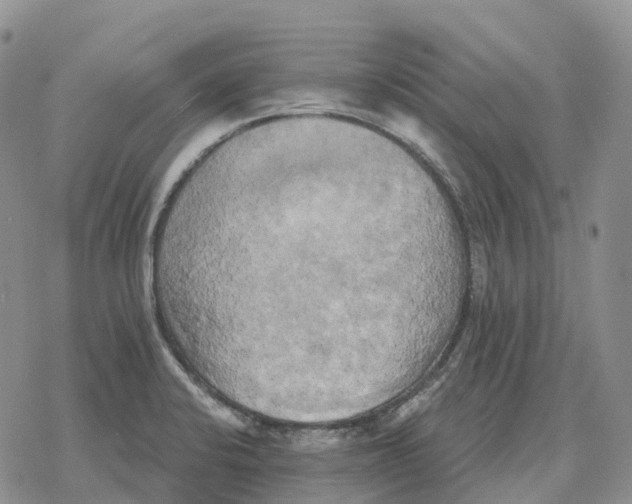 X0000078291424200611251432