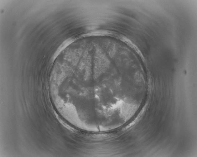 X0000078291425200611251432