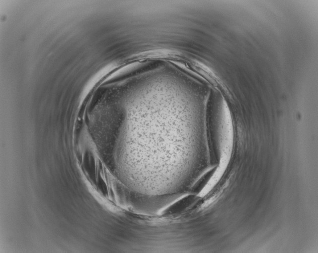 X0000078291426200611251432