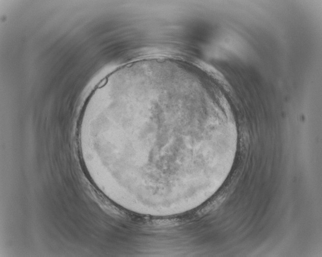 X0000078291427200611251432