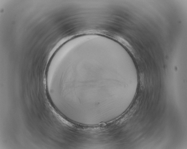 X0000078291428200611251432