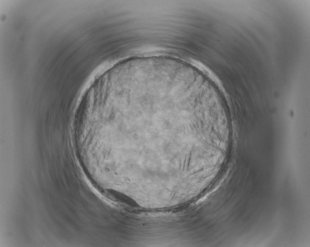 X0000078291429200611251432