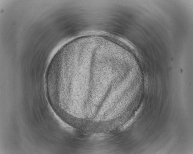 X0000078291430200611251432