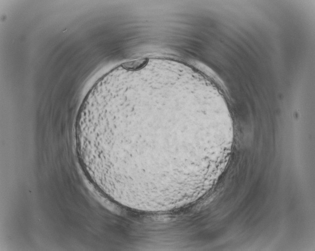 X0000078291431200611251432