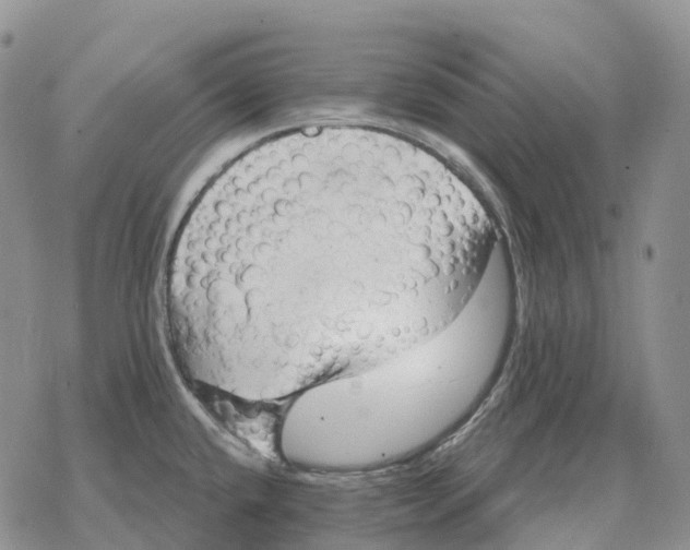 X0000078291432200611251432