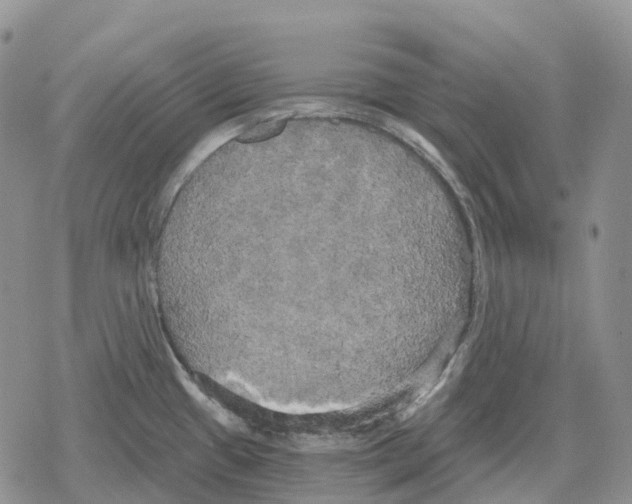 X0000078291433200611251432