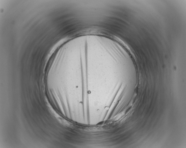 X0000078291434200611251432