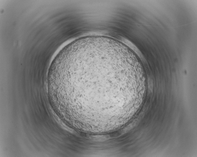 X0000078291436200611251432