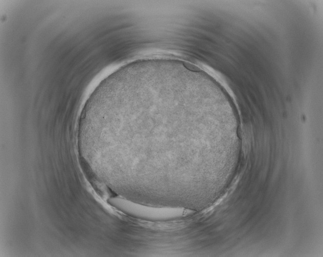 X0000078291437200611251432