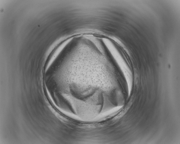 X0000078291438200611251432