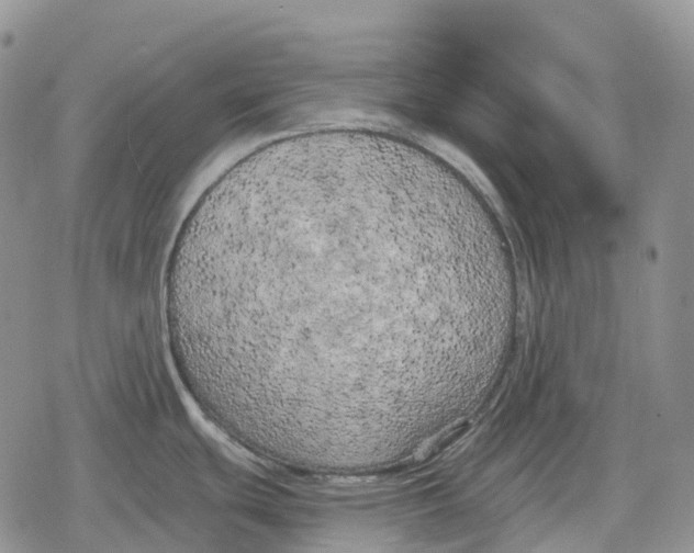 X0000078291439200611251432