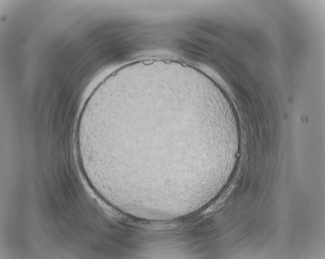 X0000078291440200611251432