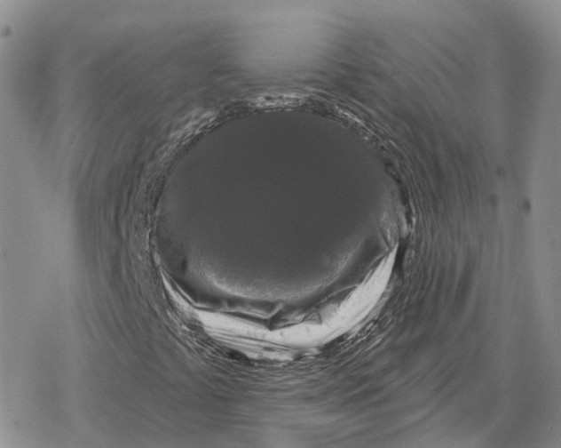 X0000078291441200611251431