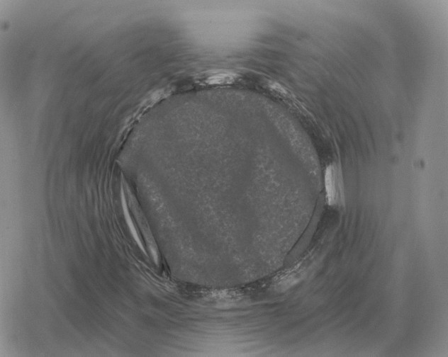 X0000078291443200611251431