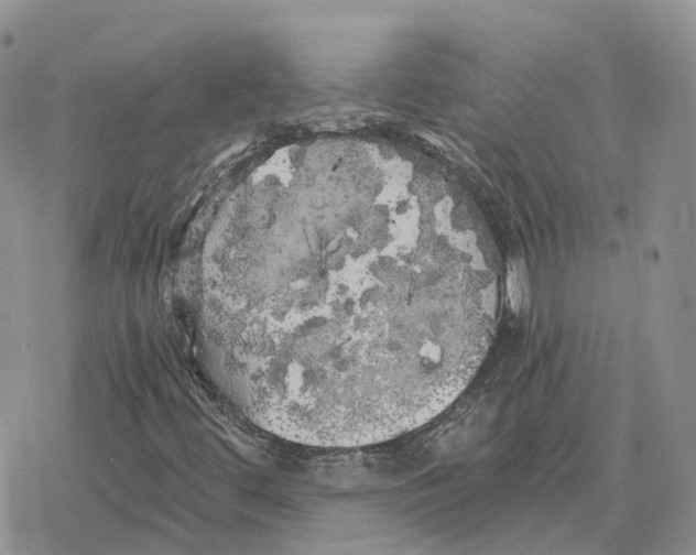 X0000078291444200611251431