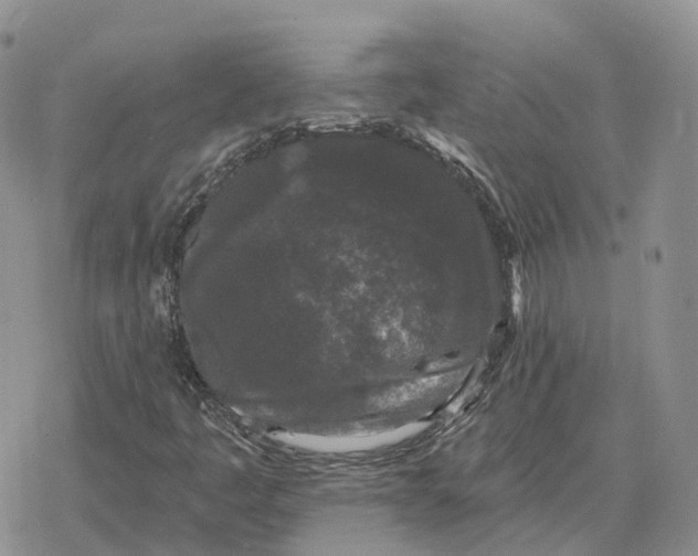 X0000078291445200611251431