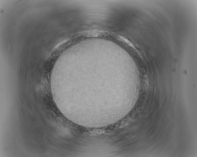 X0000078291446200611251431