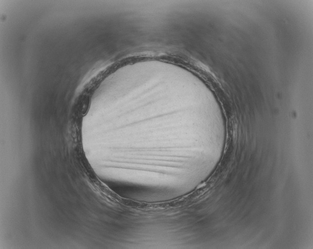 X0000078291448200611251431