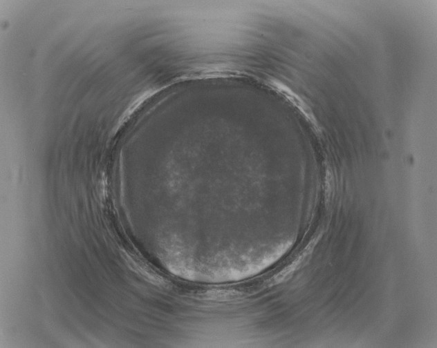 X0000078291449200611251431