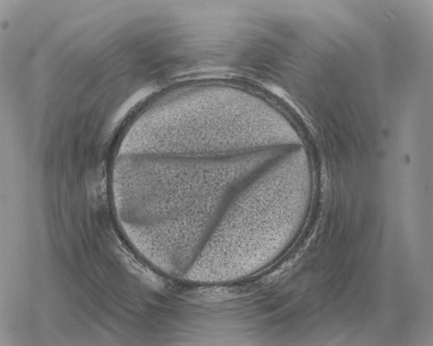 X0000078291450200611251431