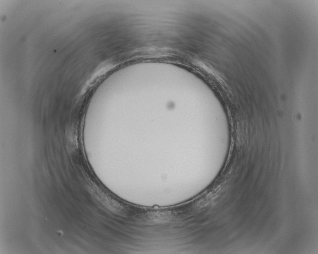 X0000078291451200611251431