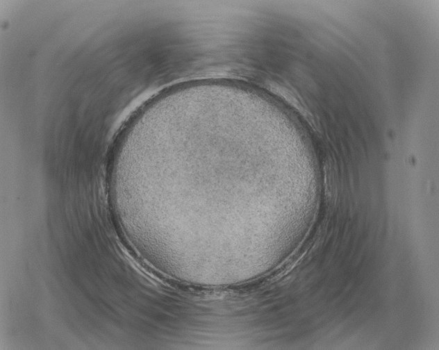 X0000078291452200611251431