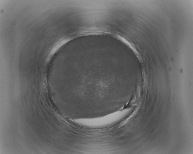 X0000078291453200611251431