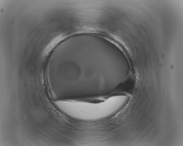 X0000078291455200611251431