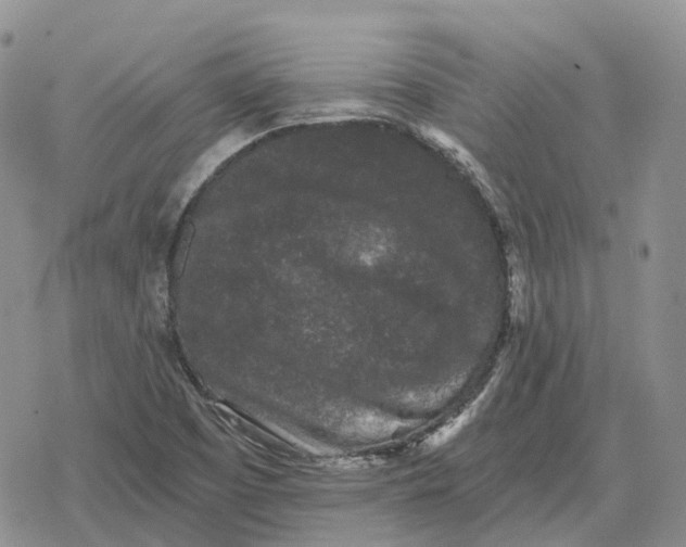 X0000078291457200611251431