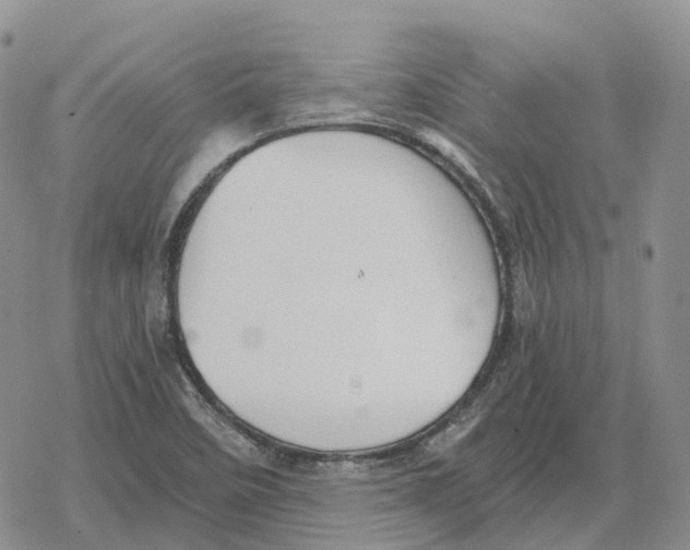 X0000078291458200611251431