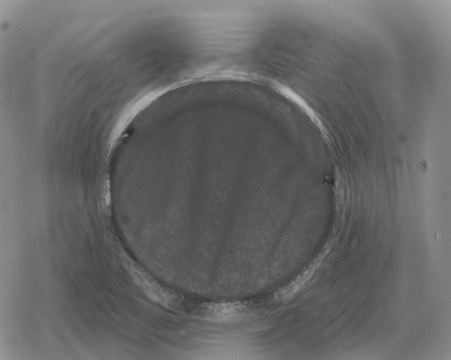 X0000078291461200611251431