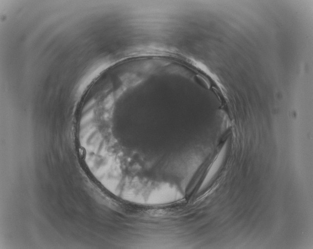 X0000078291463200611251431