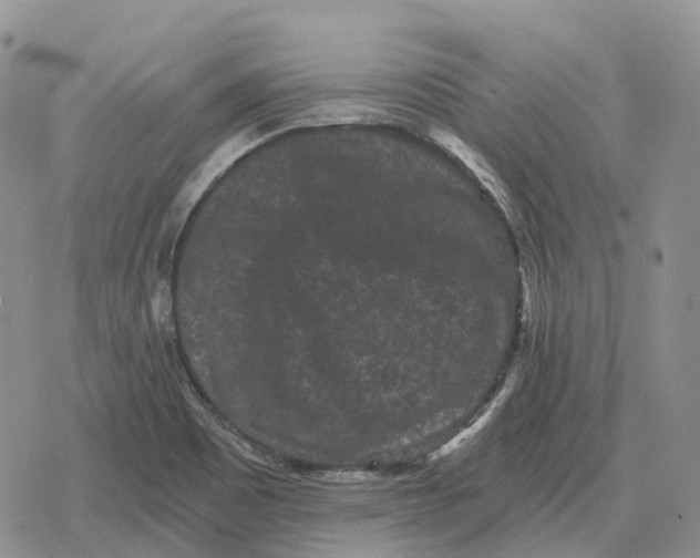 X0000078291465200611251431