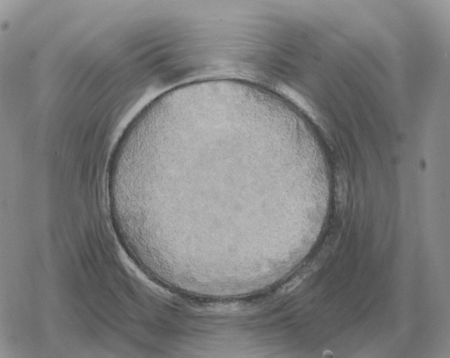 X0000078291468200611251431