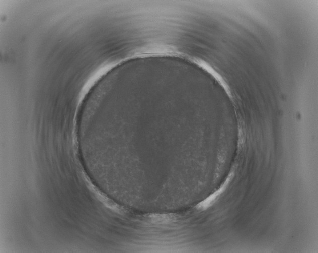 X0000078291469200611251431