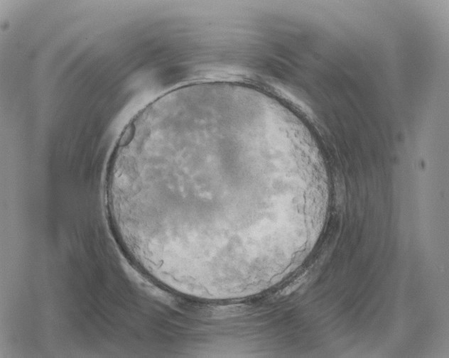 X0000078291471200611251431